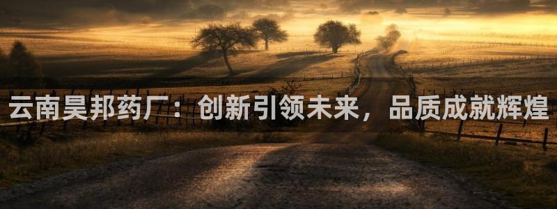 老哥俱乐部是干什么的：云南昊邦药厂：创新引领未来，品质成就辉煌