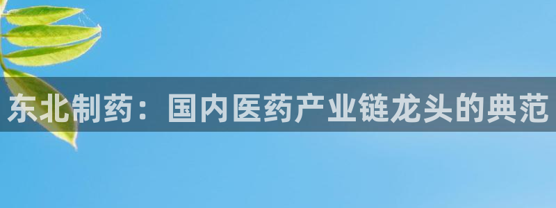 九游老哥俱乐部官网登录不了：东北制药：国内医药产业链龙头的典范