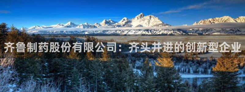 9游会老哥：齐鲁制药股份有限公司：齐头并进的创新型企业